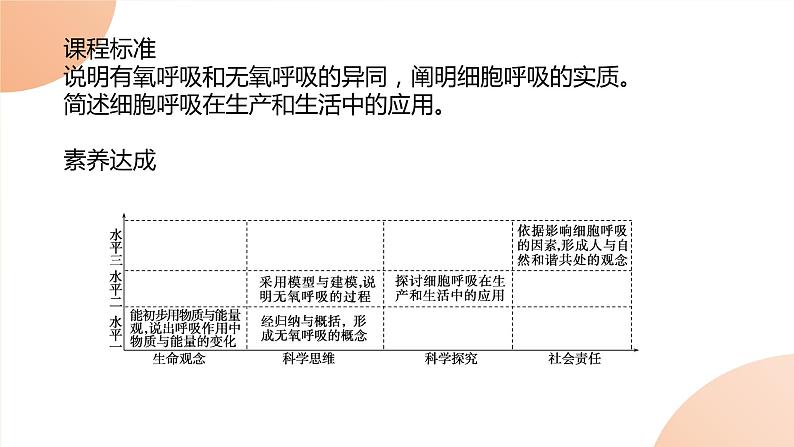 2024学年人教版生物必修一同步课件 5.3.2第7页