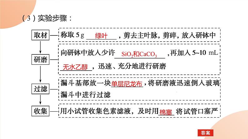 2024学年人教版生物必修一同步课件 5.4.104