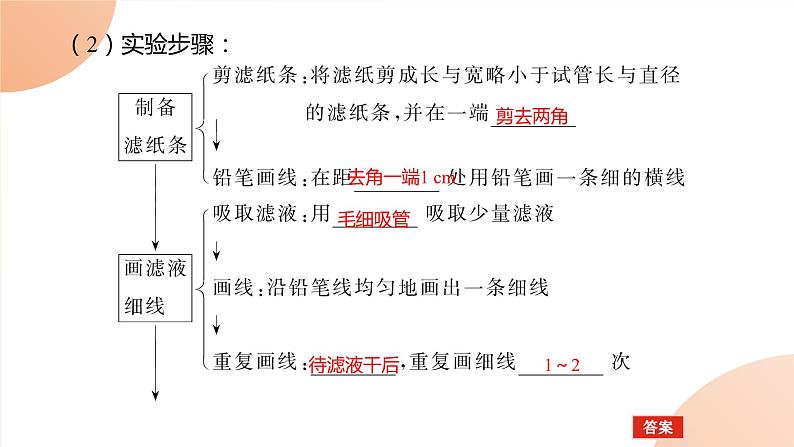 2024学年人教版生物必修一同步课件 5.4.106