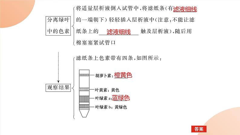 2024学年人教版生物必修一同步课件 5.4.107