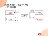 2024学年人教版生物必修一同步课件 5.4.2