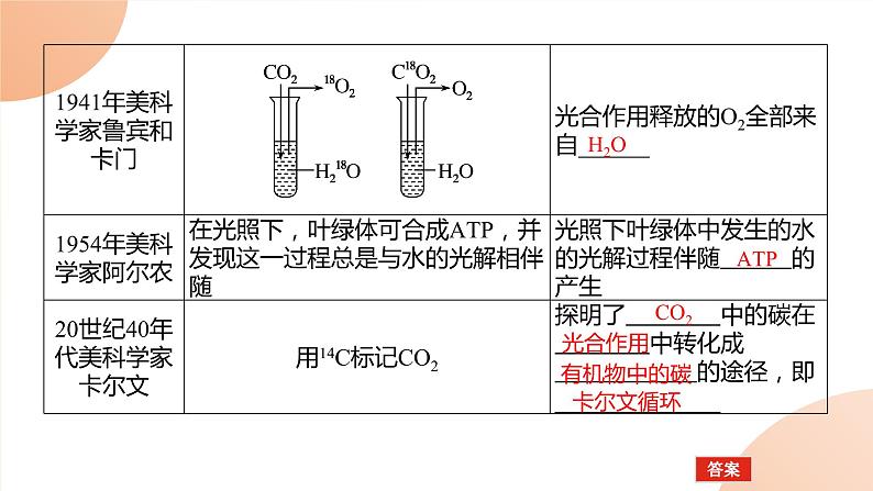 2024学年人教版生物必修一同步课件 5.4.204