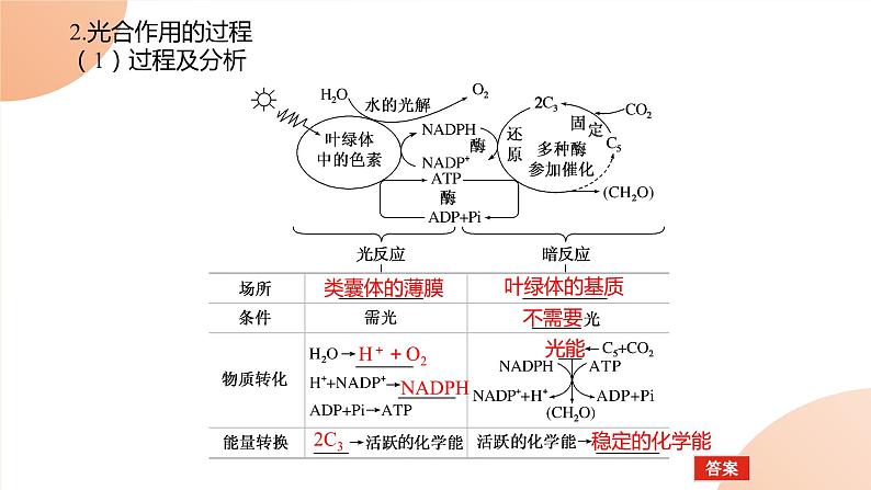 2024学年人教版生物必修一同步课件 5.4.205