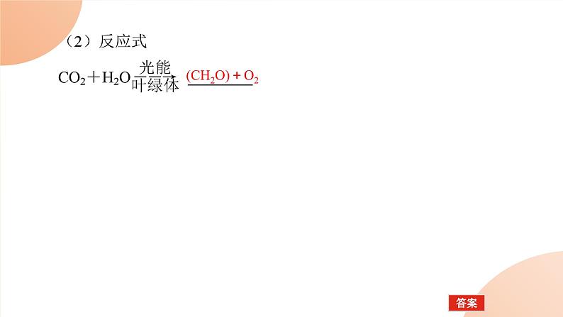 2024学年人教版生物必修一同步课件 5.4.206