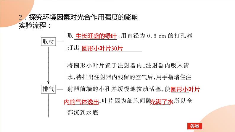 2024学年人教版生物必修一同步课件 5.4.208