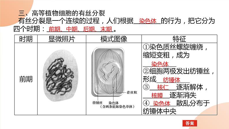 2024学年人教版生物必修一同步课件 6.1.1第4页