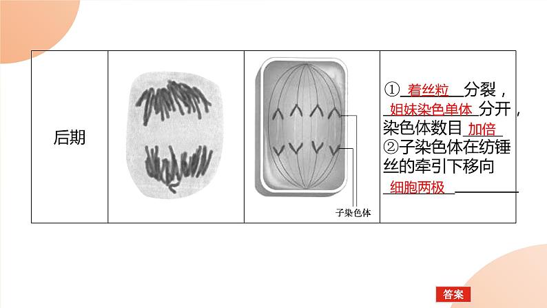 2024学年人教版生物必修一同步课件 6.1.1第6页