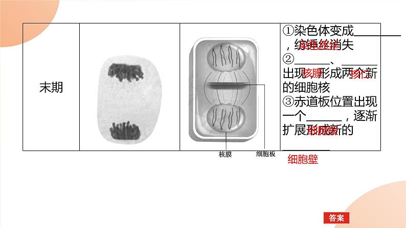 2024学年人教版生物必修一同步课件 6.1.1第7页