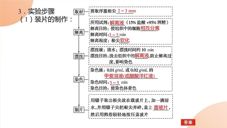 2024学年人教版生物必修一同步课件 6.1.2第7页