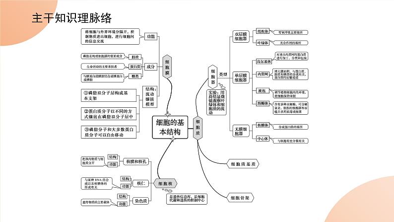 2024学年人教版生物必修一同步课件 专项培优二练习题第2页