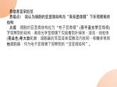 2024学年人教版生物必修一同步课件 专项培优二练习题