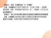 2024学年人教版生物必修一同步课件 专项培优二练习题