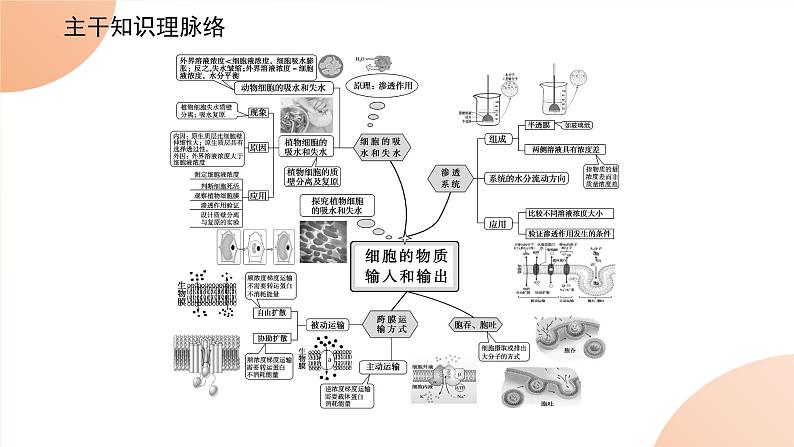 2024学年人教版生物必修一同步课件 专项培优三练习题第2页