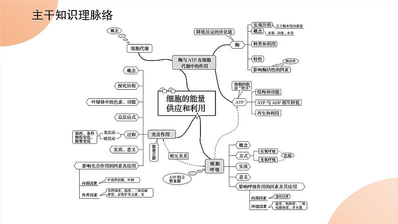 2024学年人教版生物必修一同步课件 专项培优四练习题02