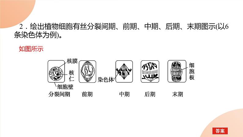 2024学年人教版生物必修一同步课件 专项培优五练习题第8页