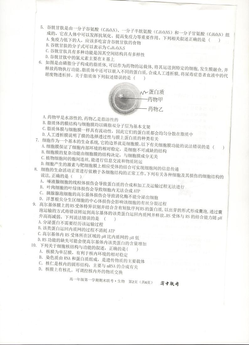 安徽省合肥市第一中学2023-2024学年高一上学期期末考试生物试卷（PDF版附解析）02