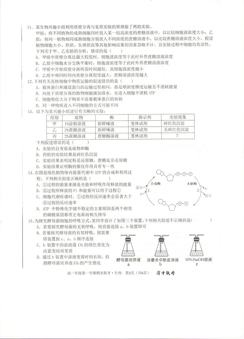安徽省合肥市第一中学2023-2024学年高一上学期期末考试生物试卷（PDF版附解析）03
