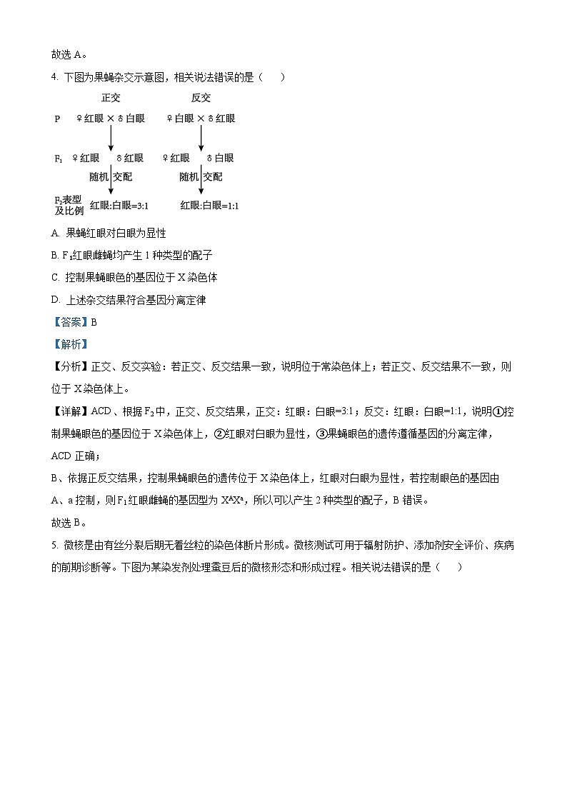 精品解析：北京市房山区2023~2024学年度高三上学期期末检测生物试题（解析版）第3页