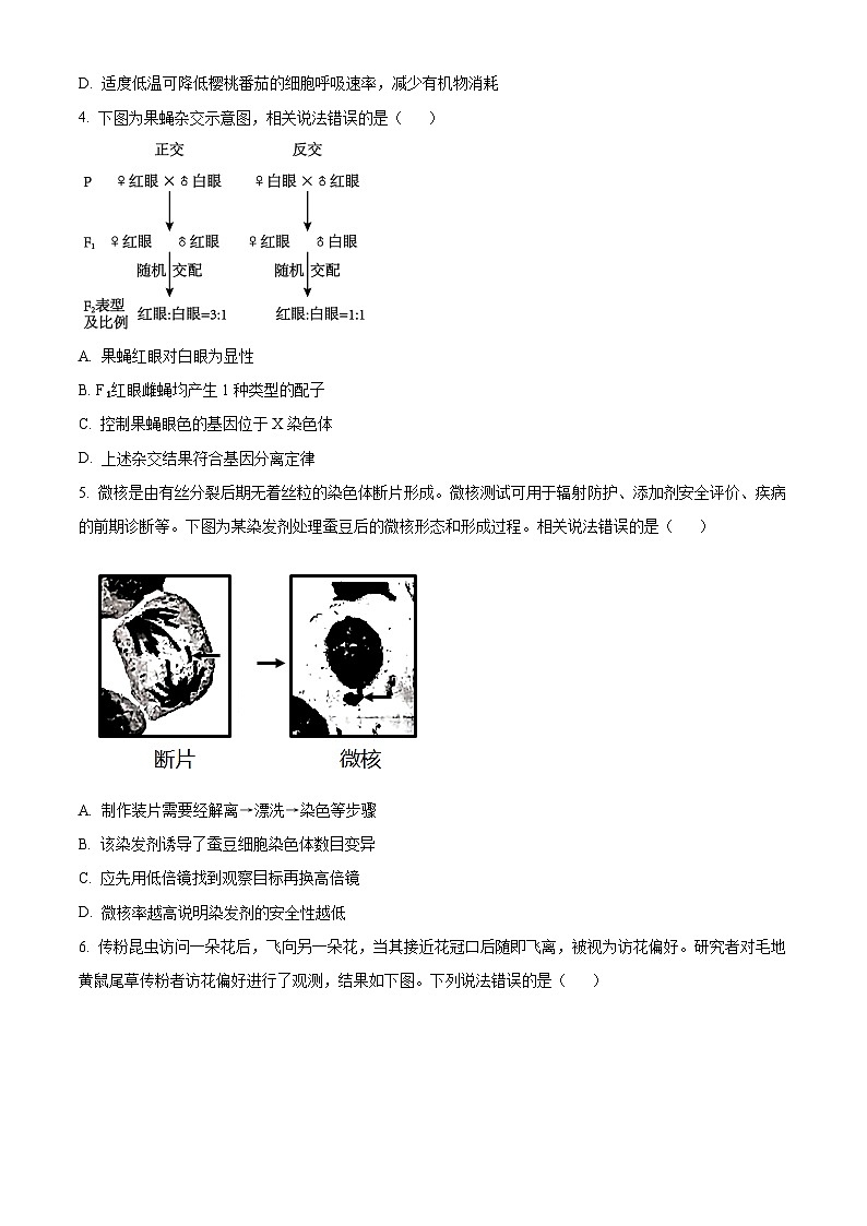 精品解析：北京市房山区2023~2024学年度高三上学期期末检测生物试题（原卷版）第2页