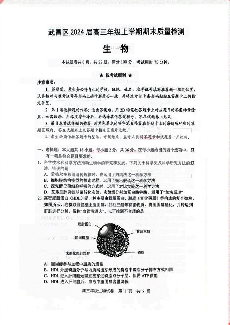 湖北武汉武昌区2024届高三上学期期末质量检测生物试卷及答案第1页