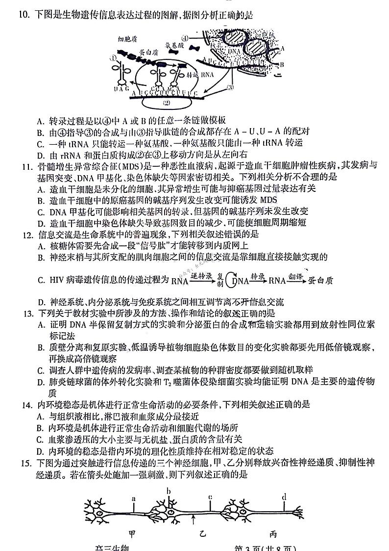 山西省吕梁市2024届高三上学期1月期末考试生物03