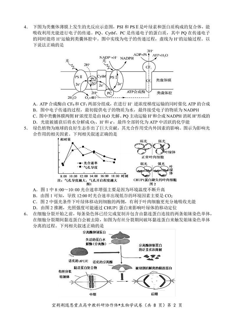 湖北省宜荆荆随恩2023-2024高三上学期期末生物试卷及答案02