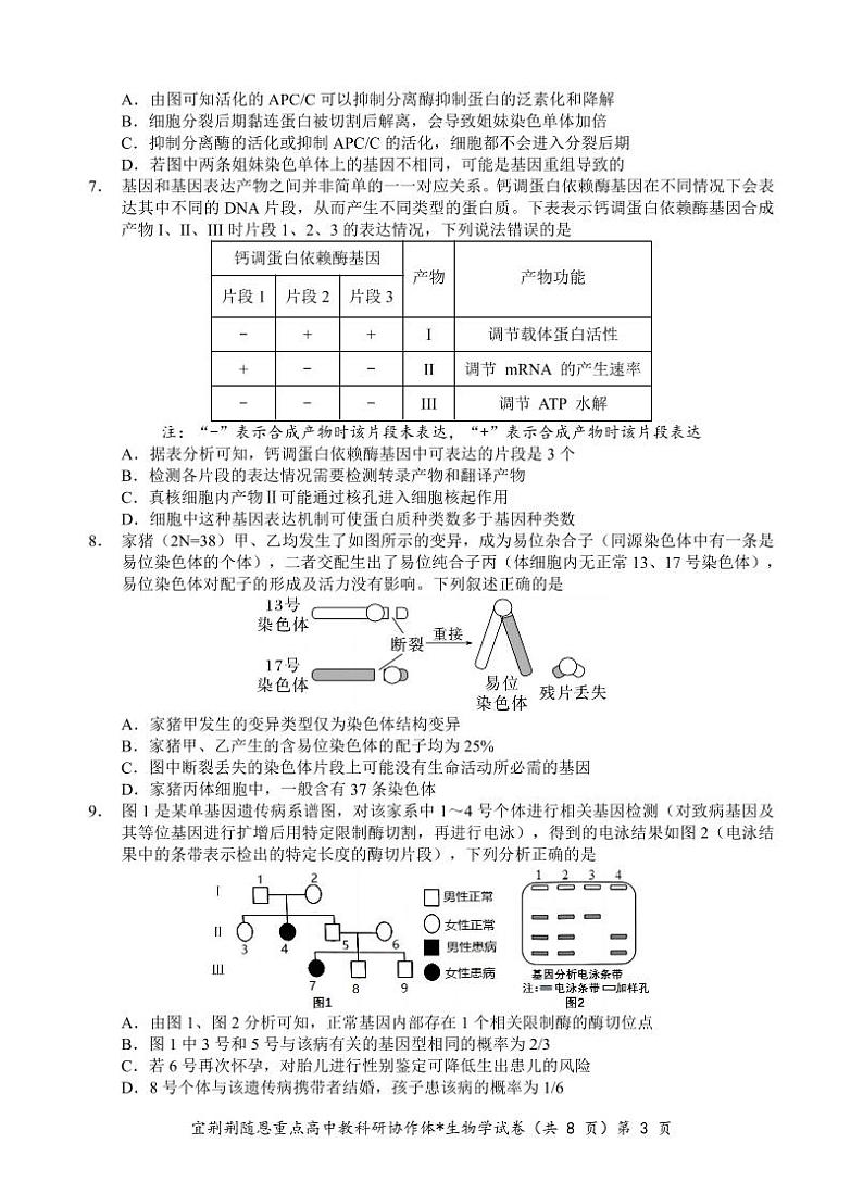 湖北省宜荆荆随恩2023-2024高三上学期期末生物试卷及答案03