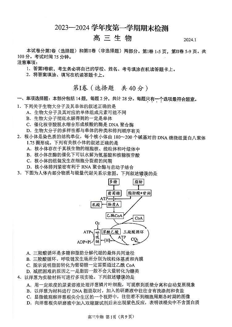 江苏省扬州市2023-2024高三上学期期末生物试卷及答案01