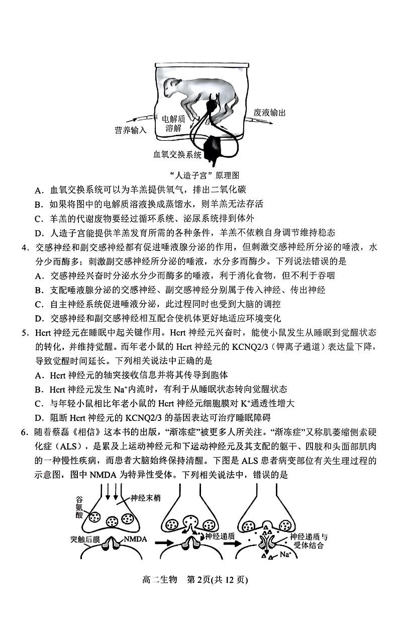 河南省南阳市2023-2024学年高二上学期期末考试生物试卷（PDF版附答案）第2页