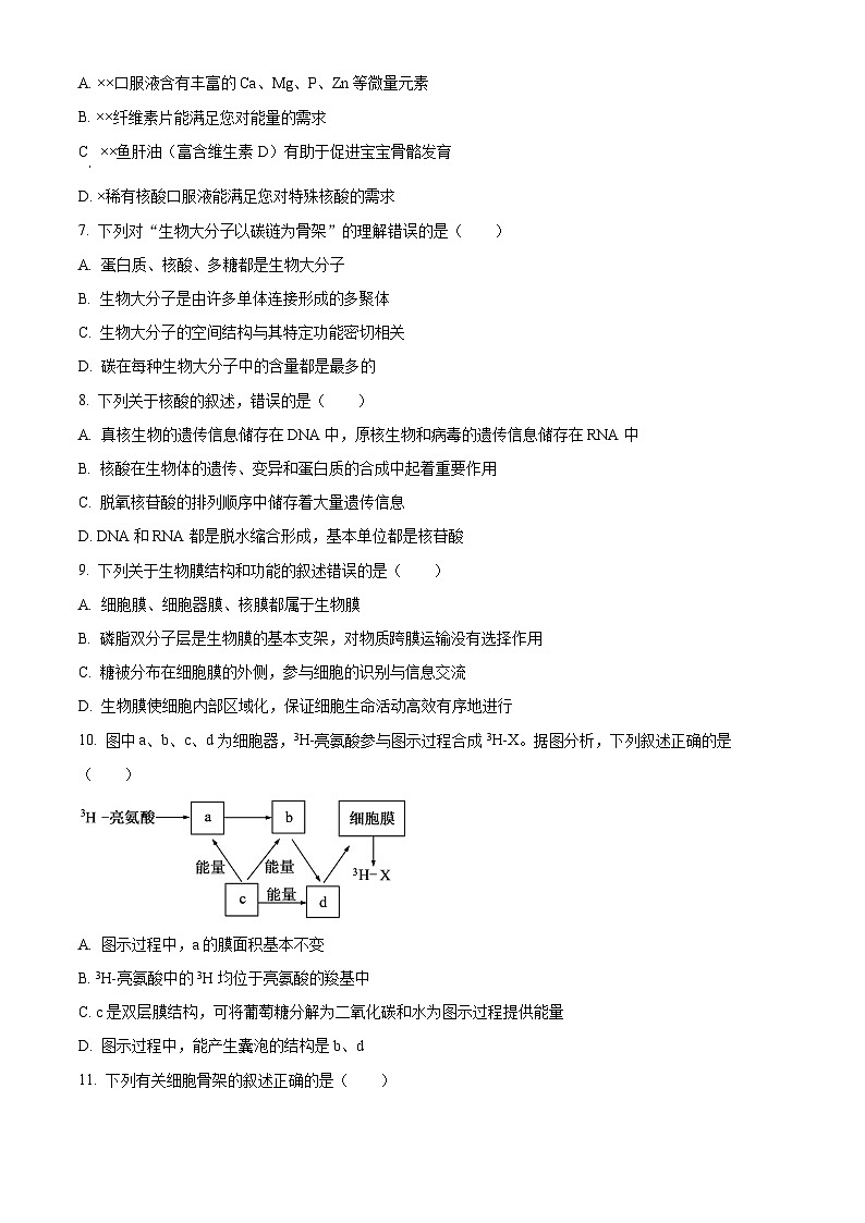 天津市部分区2023-2024学年高一上学期期末考试生物试卷（Word版附解析）02