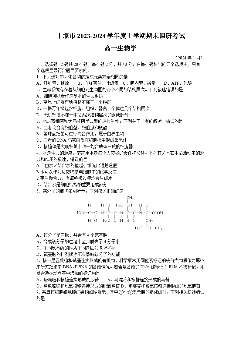 湖北省十堰市2023-2024学年高一上学期期末调研考试生物试卷（Word版附答案）01