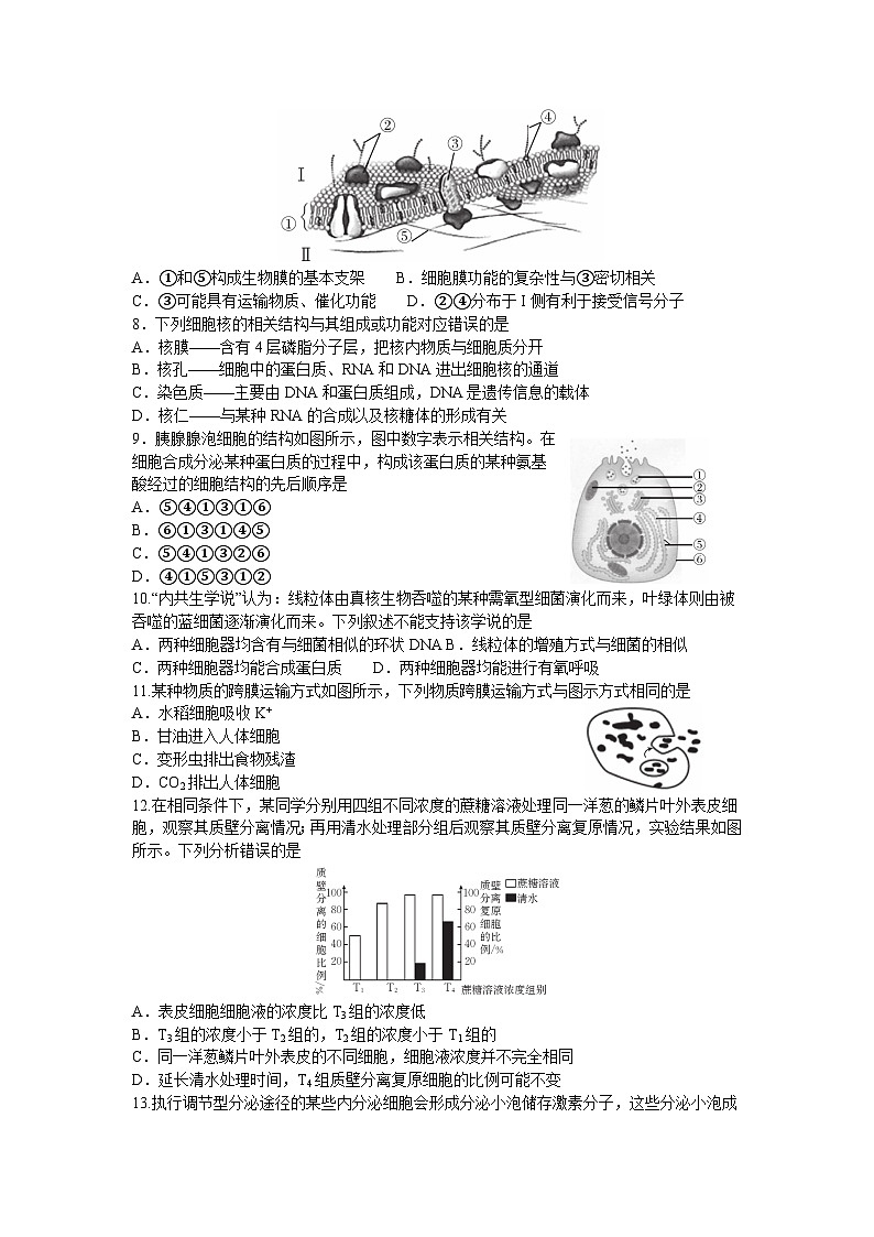 湖北省十堰市2023-2024学年高一上学期期末调研考试生物试卷（Word版附答案）02