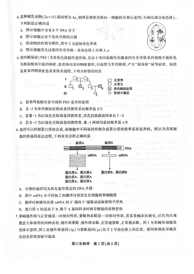 安徽省池州市2023-2024学年高三上学期期末考试生物试卷（PDF版附解析）02