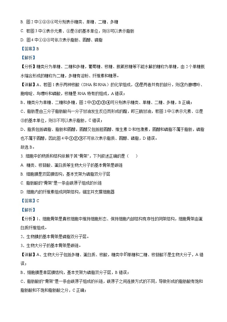 福建省厦门市2023-2024学年高一上学期1月期末生物试题（Word版附解析）02