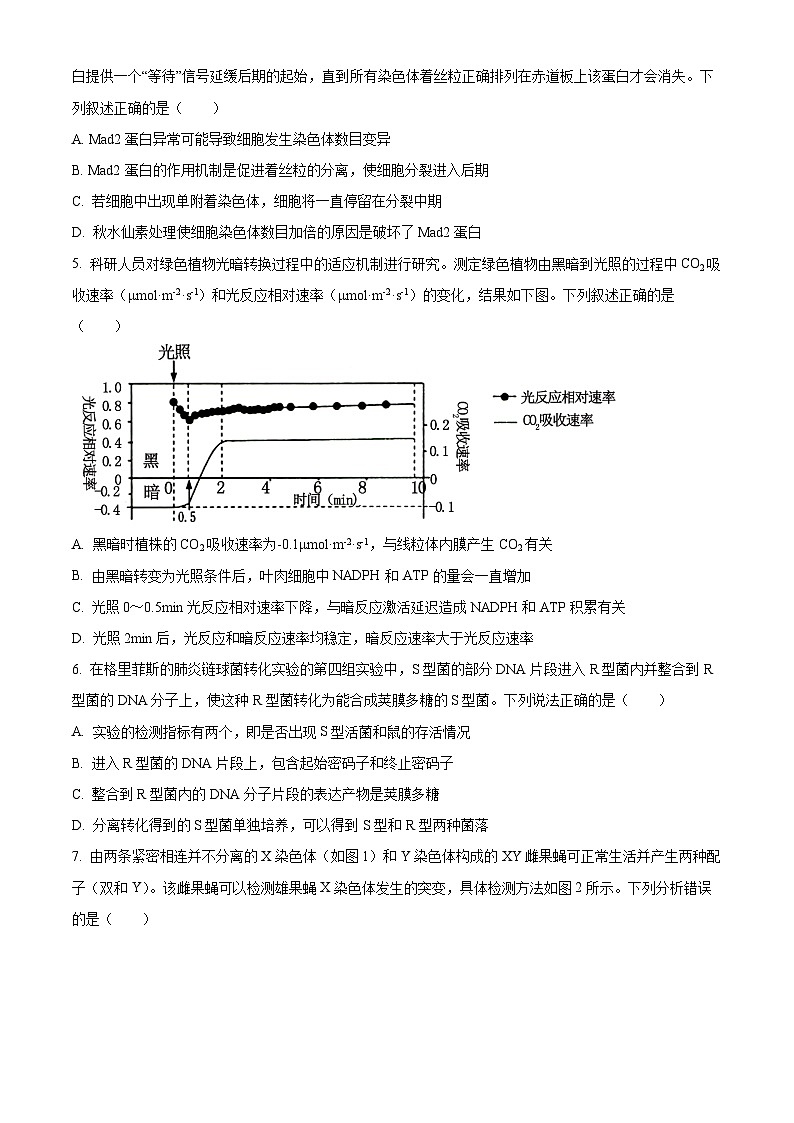 山东省菏泽市2023-2024学年高三上学期1月期末考试生物试题（Word版附解析）02