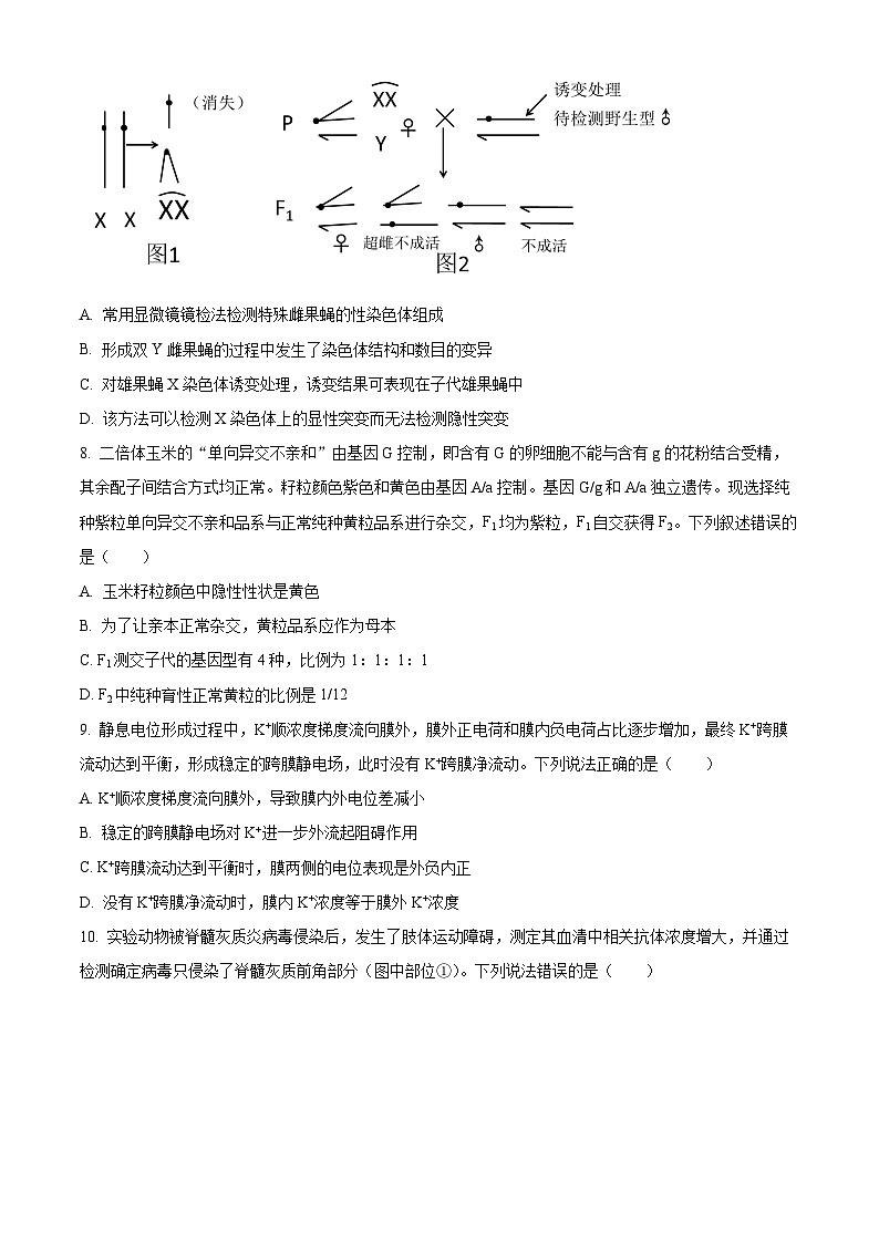 山东省菏泽市2023-2024学年高三上学期1月期末考试生物试题（Word版附解析）03