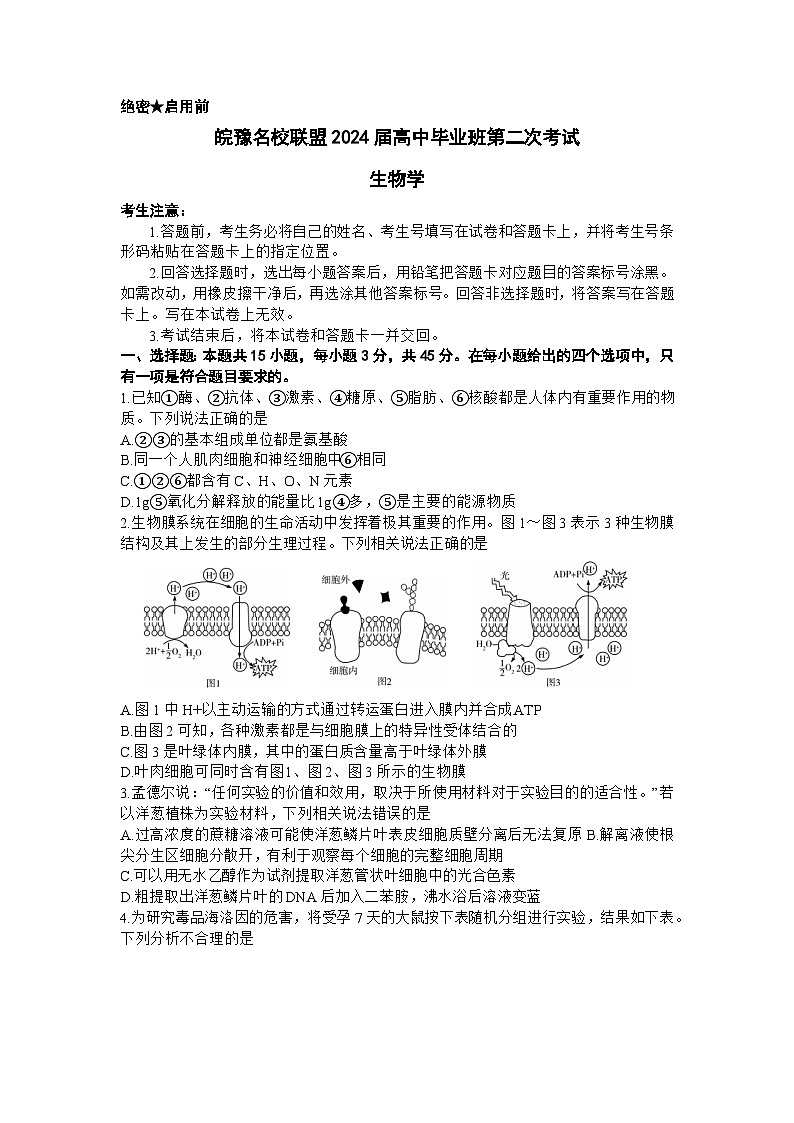 安徽省皖豫联盟2023-2024学年高三毕业班上学期第二次联考生物试题01