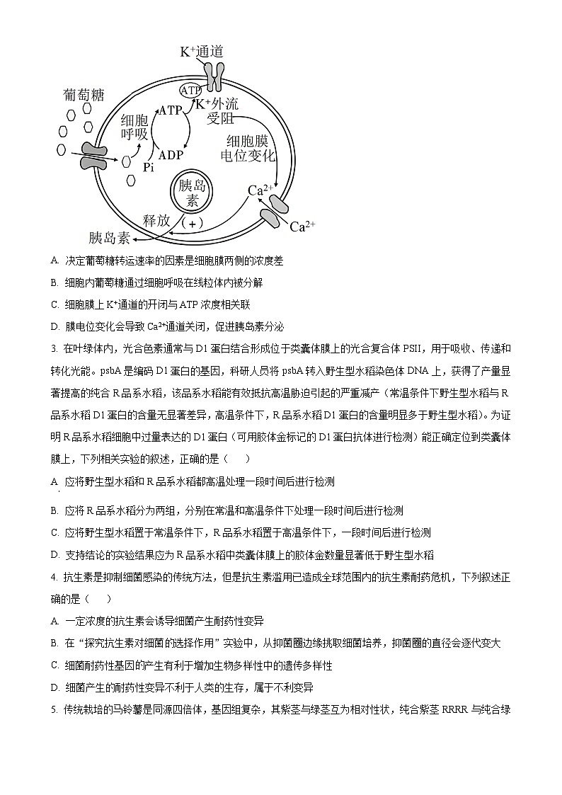 安徽省皖南八校2023-2024学年高三上学期第二次大联考生物试题  Word版无答案02