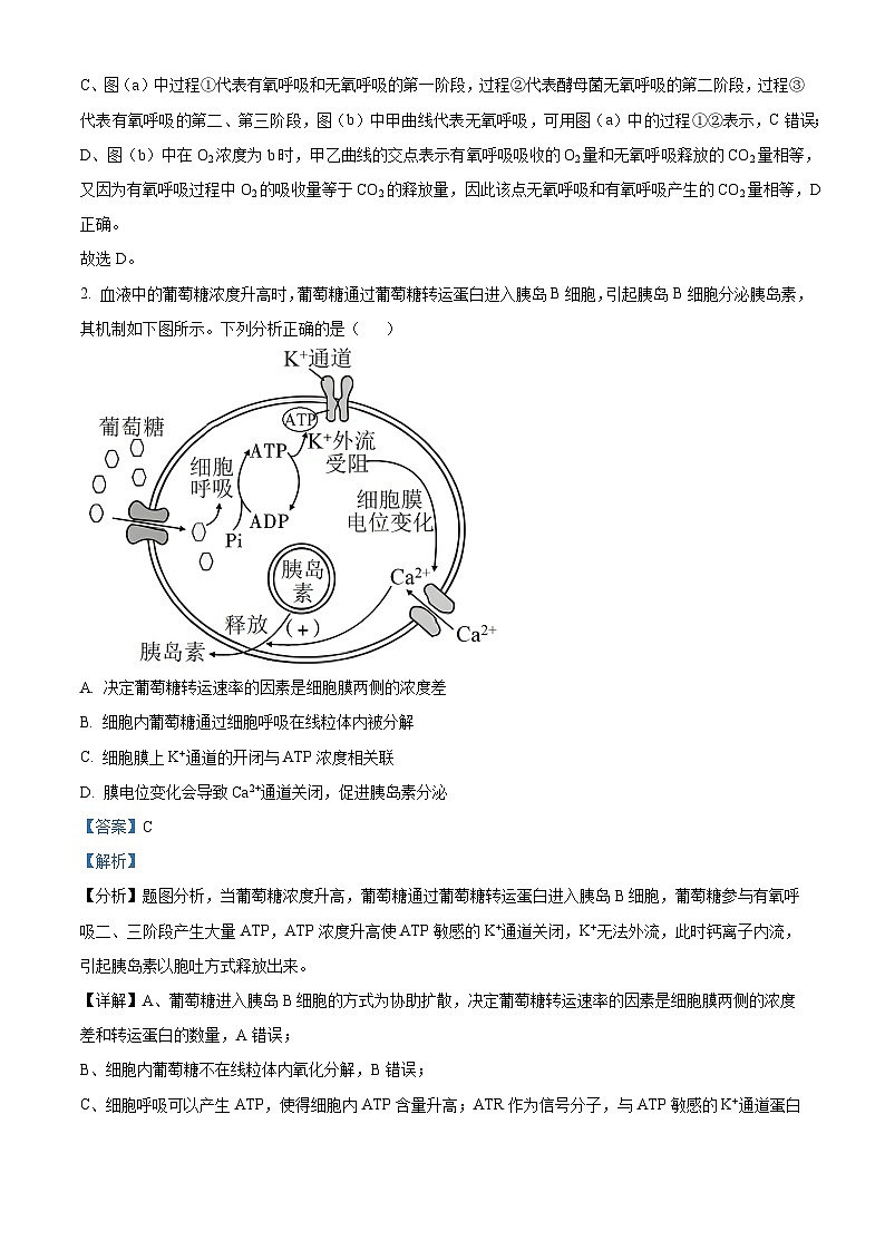 安徽省皖南八校2023-2024学年高三上学期第二次大联考生物试题  Word版含解析02