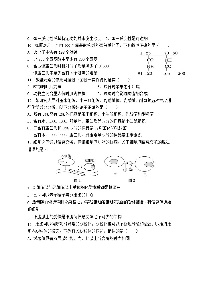 2021-2022年广西玉林市容县高一生物上学期期中试卷及答案第3页