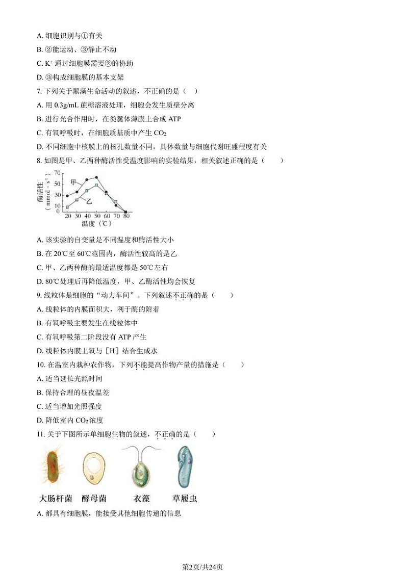 2023-2024学年中国人民大学附属中学高一上学期期末生物试题及答案第2页