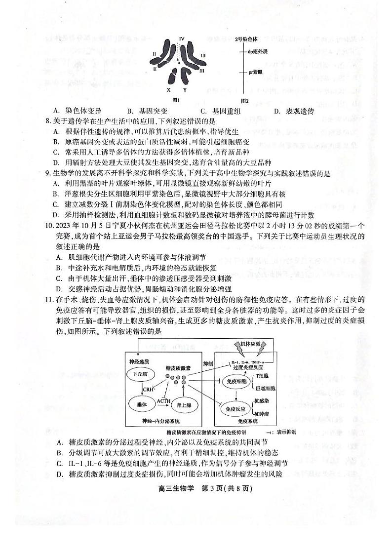 2024池州高三上学期期末考试生物PDF版含解析03