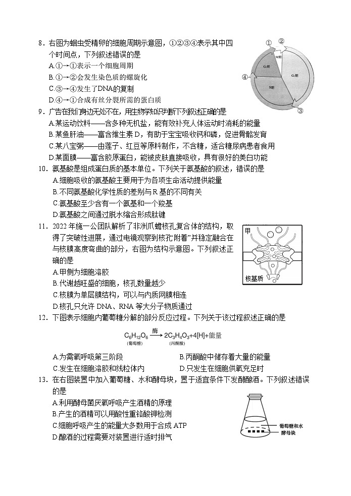 2024丽水高一上学期1月期末考试生物含答案02