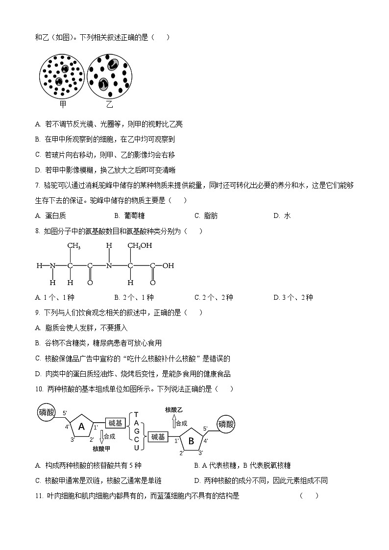 2024开封联考高一上学期1月期末考试生物含解析第2页