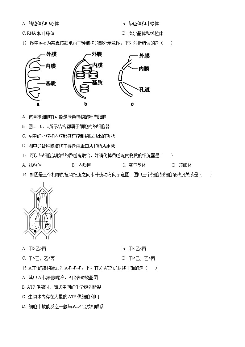 2024开封联考高一上学期1月期末考试生物含解析第3页