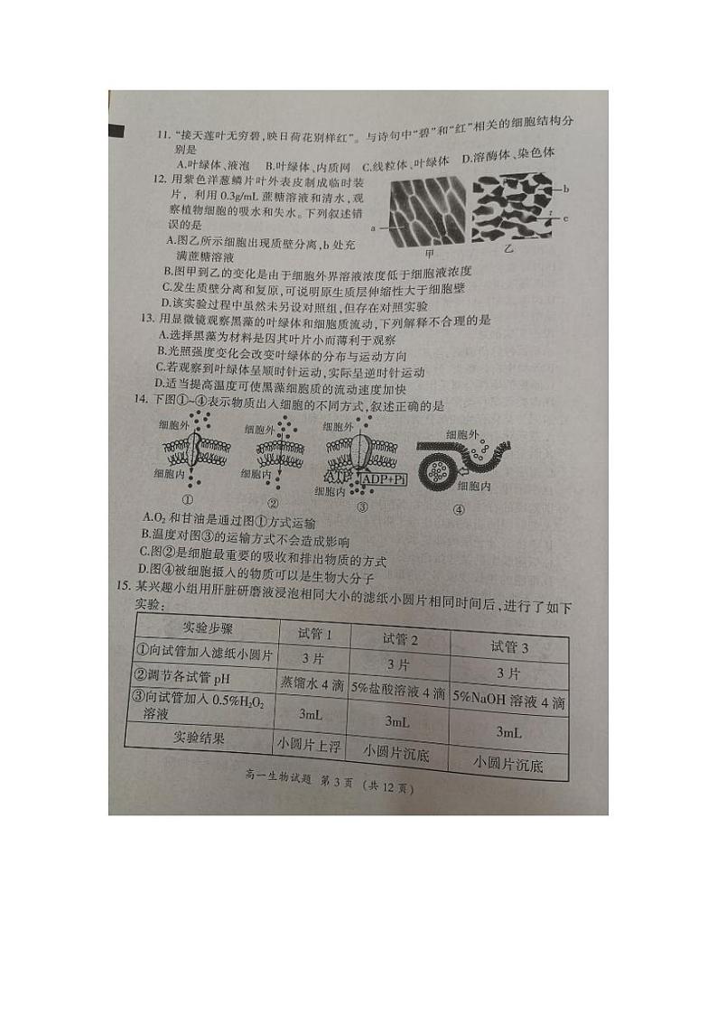 2024三明高一上学期期末考试生物PDF版含答案03