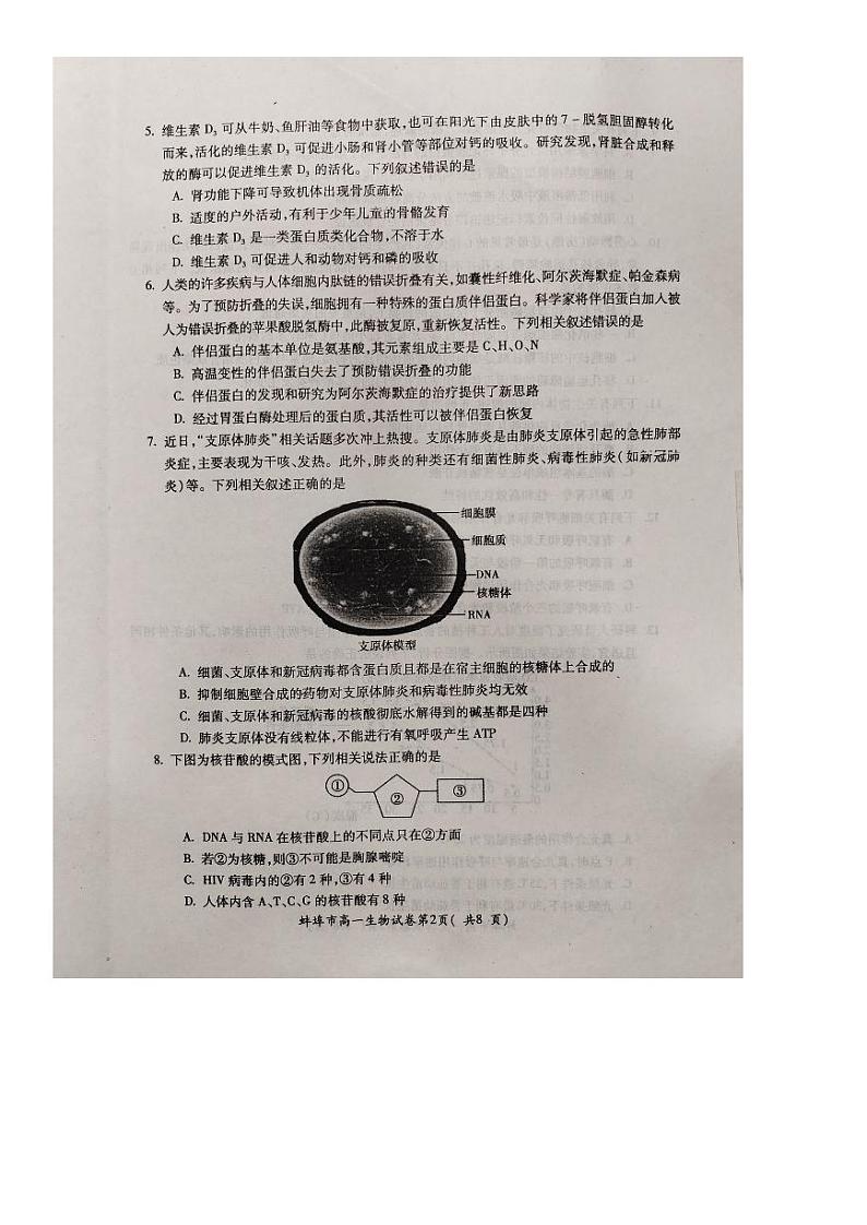 2024蚌埠高一上学期期末考试生物PDF版含答案第2页