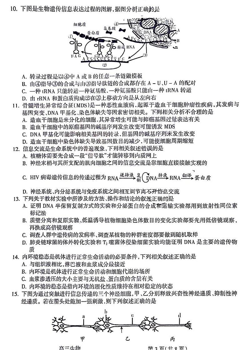 山西省吕梁市2024届高三上学期第一次模拟考试生物试题及答案第3页
