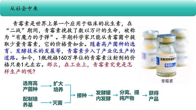 人教版（2019）高中生物  选择性必修三  1.3发酵工程及其应用课件PPT第4页