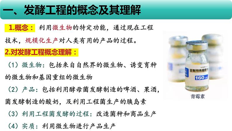 人教版（2019）高中生物  选择性必修三  1.3发酵工程及其应用课件PPT第5页